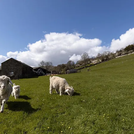 Hazel Brow - Retreat With Alpaca Walks, Farm & Hot Tub Available Σπίτι διακοπών