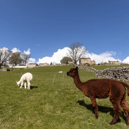 Hazel Brow - Retreat With Alpaca Walks, Farm & Hot Tub Available Feetham