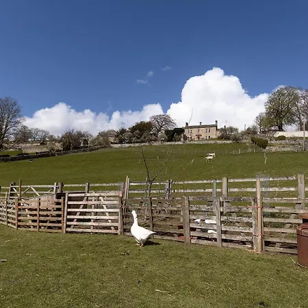 Hazel Brow - Retreat With Alpaca Walks, Farm & Hot Tub Available * Feetham