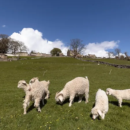 Hazel Brow - Retreat With Alpaca Walks, Farm & Hot Tub Available Feetham