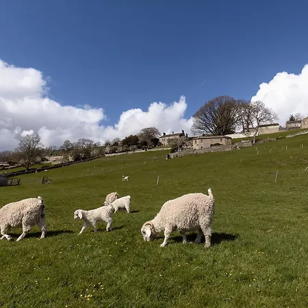 Hazel Brow - Retreat With Alpaca Walks, Farm & Hot Tub Available Σπίτι διακοπών