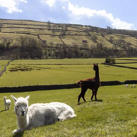 Σπίτι διακοπών Hazel Brow - Retreat With Alpaca Walks, Farm & Hot Tub Available
