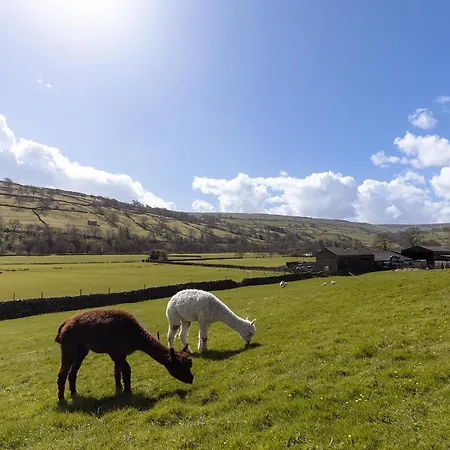 Hazel Brow - Retreat With Alpaca Walks, Farm & Hot Tub Available * Feetham