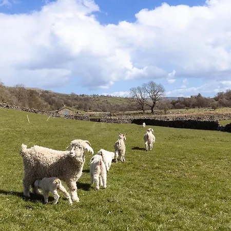 Hazel Brow - Retreat With Alpaca Walks, Farm & Hot Tub Available Σπίτι διακοπών *