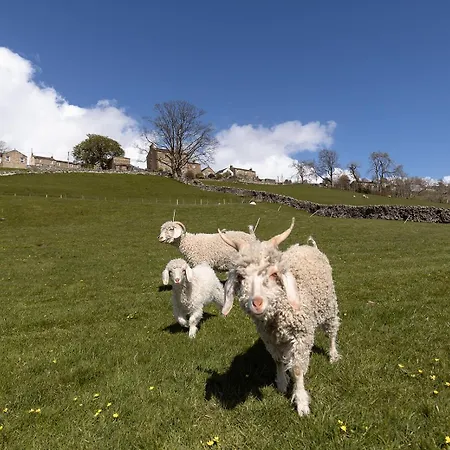 Hazel Brow - Retreat With Alpaca Walks, Farm & Hot Tub Available * Feetham